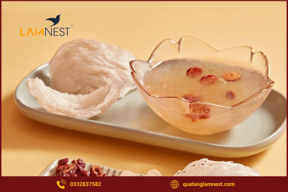 Giới thiệu về yến sào