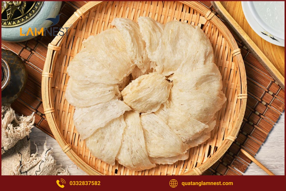 Những tiêu chí quan trọng khi chọn mua yến sào