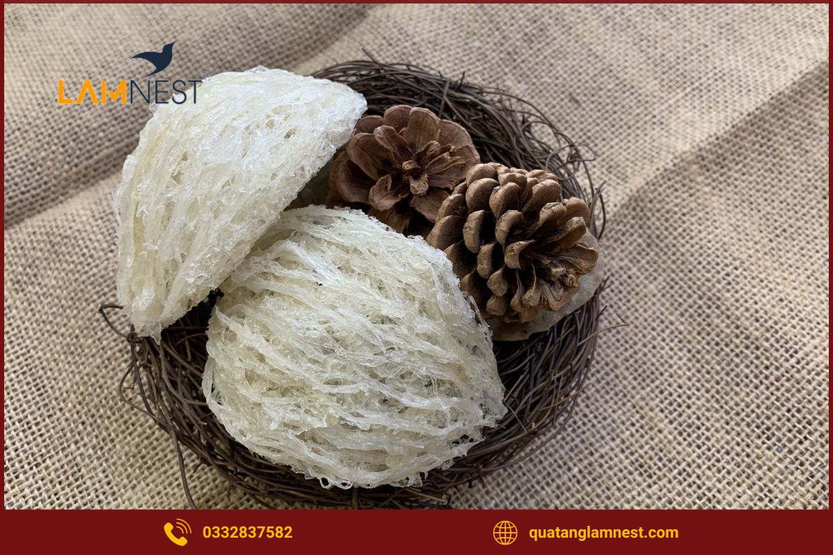 Vì sao cần chọn đúng loại yến cho từng đối tượng?