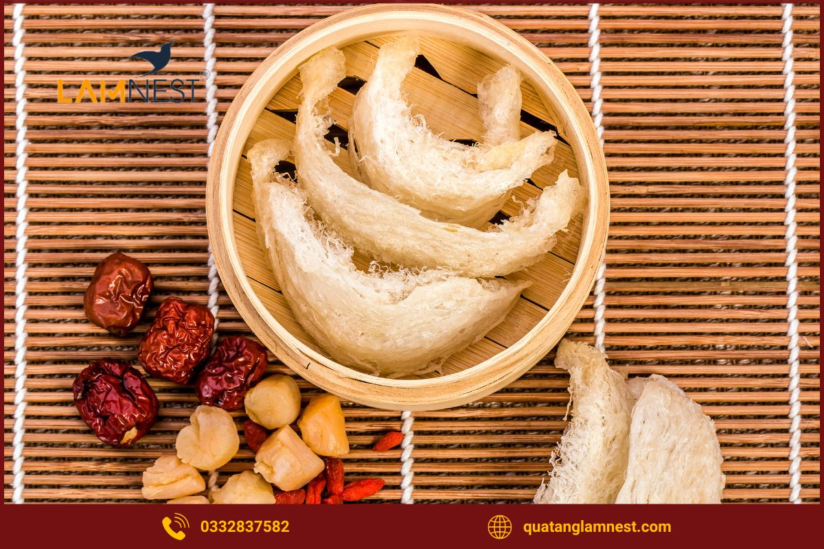 Yến - Món quà sức khỏe được đánh giá cao nhất hiện nay